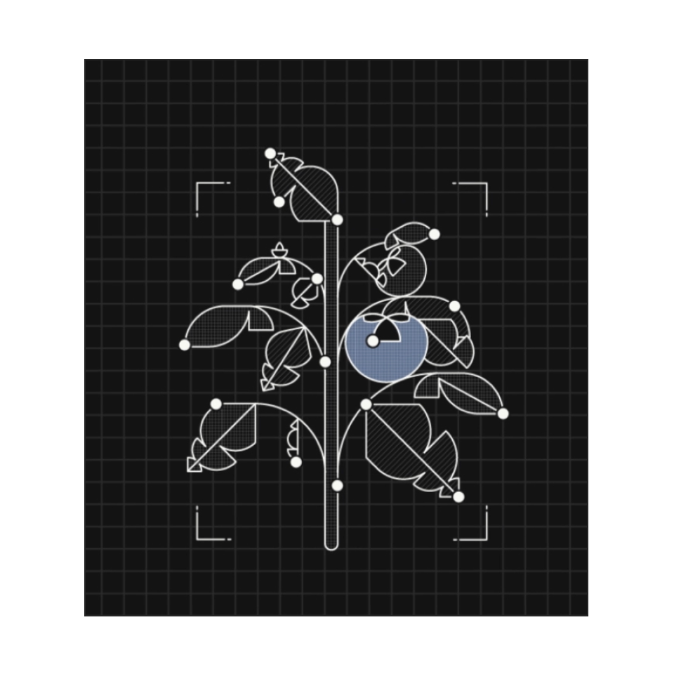 digital image plant measurements