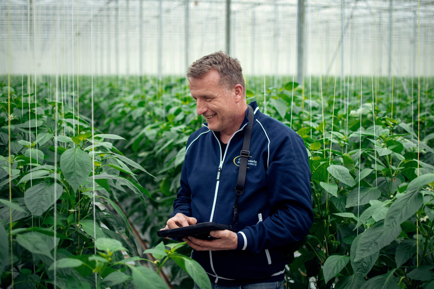 c zwinkels grower with his plants