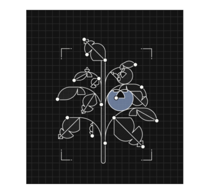 digital image plant measurements